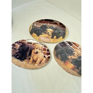 Franklin Mint Dog Plate Set of 3 Three's A Crowd, Take Me Home, Five And‎ Dine